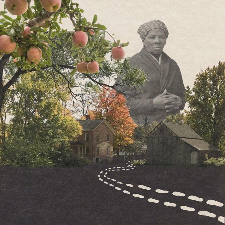 哈里特·图姆班，苹果树和路